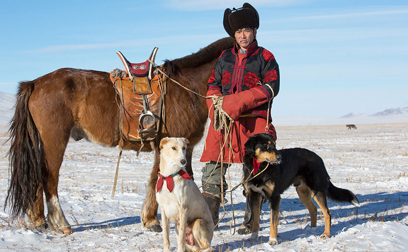 taiga dogs mongolia 